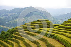 The scenery of terraced fields in Mu Cang Chai in the ripe rice season