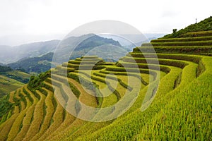 The scenery of terraced fields in Mu Cang Chai in the ripe rice season