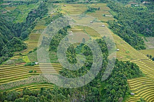 The scenery of terraced fields in Mu Cang Chai in the ripe rice season