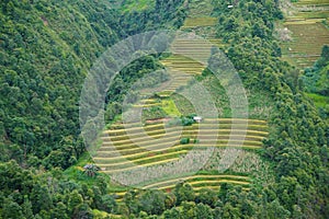 The scenery of terraced fields in Mu Cang Chai in the ripe rice season