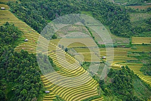 The scenery of terraced fields in Mu Cang Chai in the ripe rice season