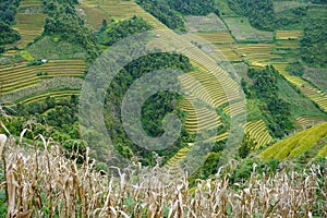 The scenery of terraced fields in Mu Cang Chai in the ripe rice season