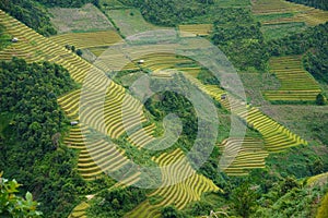 The scenery of terraced fields in Mu Cang Chai in the ripe rice season