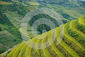 The scenery of terraced fields in Mu Cang Chai in the ripe rice season