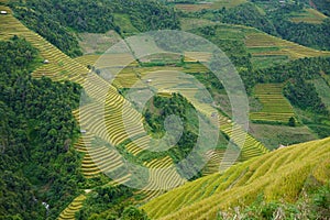 The scenery of terraced fields in Mu Cang Chai in the ripe rice season