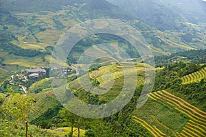 The scenery of terraced fields in Mu Cang Chai in the ripe rice season