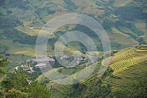 The scenery of terraced fields in Mu Cang Chai in the ripe rice season