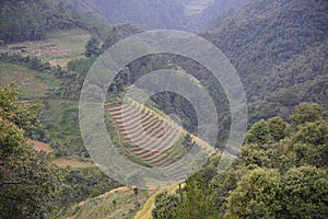 The scenery of terraced fields in Mu Cang Chai in the ripe rice season