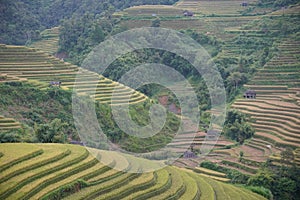 The scenery of terraced fields in Mu Cang Chai in the ripe rice season