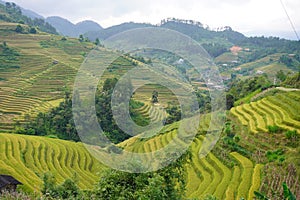 The scenery of terraced fields in Mu Cang Chai in the ripe rice season