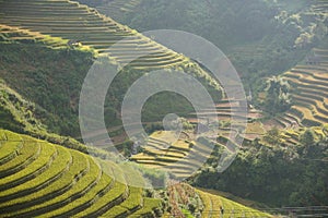 The scenery of terraced fields in Mu Cang Chai in the ripe rice season