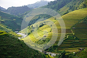 The scenery of terraced fields in Mu Cang Chai in the ripe rice season