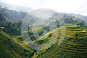 The scenery of terraced fields in Mu Cang Chai in the ripe rice season