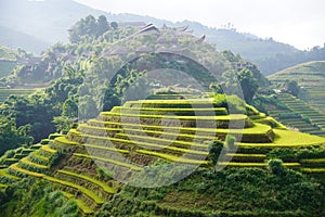 The scenery of terraced fields in Mu Cang Chai in the ripe rice season