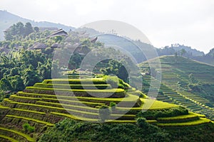 The scenery of terraced fields in Mu Cang Chai in the ripe rice season