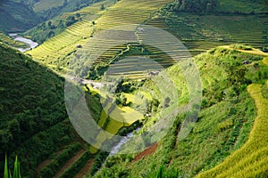 The scenery of terraced fields in Mu Cang Chai in the ripe rice season