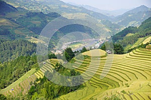 The scenery of terraced fields in Mu Cang Chai in the ripe rice season