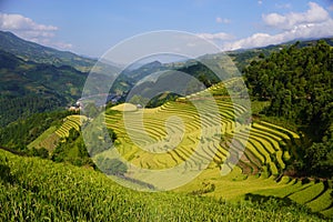 The scenery of terraced fields in Mu Cang Chai in the ripe rice season