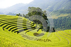 The scenery of terraced fields in Mu Cang Chai in the ripe rice season