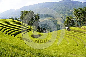 The scenery of terraced fields in Mu Cang Chai in the ripe rice season