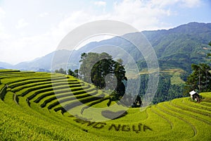 The scenery of terraced fields in Mu Cang Chai in the ripe rice season