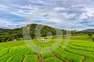 Scenery of the terraced rice fields at Ban Pa Pong Piang in Chiang Mai, Thailand