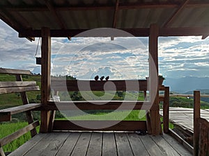 Scenery of terraced rice fields on green rice fields on vacation clear weather