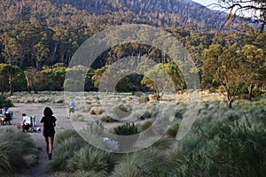 Scenery from Thredbo Diggings Campground