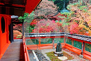 Scenery of a traditional Japanese corridor and a pavilion surrounded by fiery maple trees in the garden