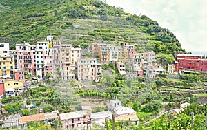 Scenery of the traditional Manarola village Cinque Terre Italy