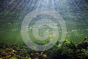 Scenery under clear river water