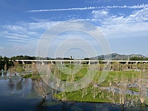 Scenery under the clear sky