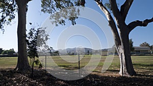 Scenery of Ventura, California, large trees and mountains