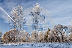 A scenery at the very frosty winter day.