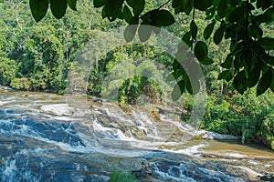 Scenery view of waterfall in the lush green forest