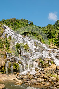 Scenery view of waterfall in the lush green forest