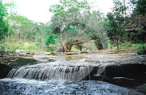 Scenery of waterfall at Phu Kra Dueng National Park
