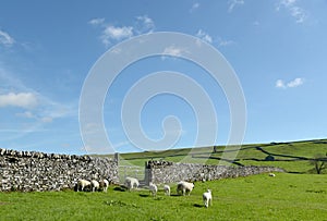 Scenery in Wharfedale near Grassington, Yorkshire Dales