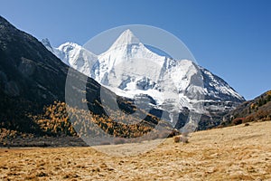 Scenery of Yading in Daocheng county, Sichuan of China