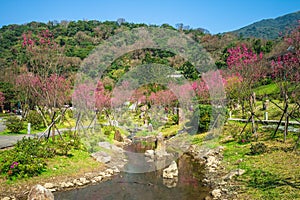 scenery of yangmingshan national park in taipei