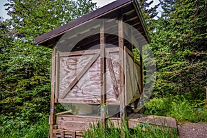 Scenes along appalachian trail in great smoky mountains