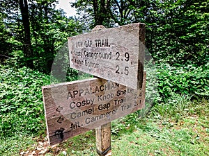 Scenes along appalachian trail in great smoky mountains