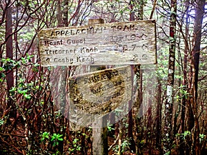 Scenes along appalachian trail in great smoky mountains