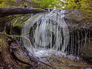 Scenes along appalachian trail in smoky mountains north carolina