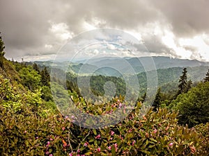 Scenes along appalachian trail in smoky mountains north carolina