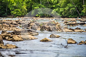 Scenes around landsford canal state park in south carolina