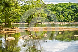 Scenes around landsford canal state park in south carolina