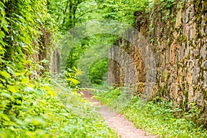 Scenes around landsford canal state park in south carolina