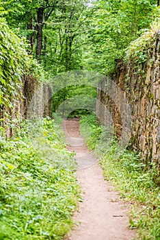 Scenes around landsford canal state park in south carolina