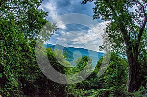 Scenes near chimney rock and lake lure in blue ridge mountains n